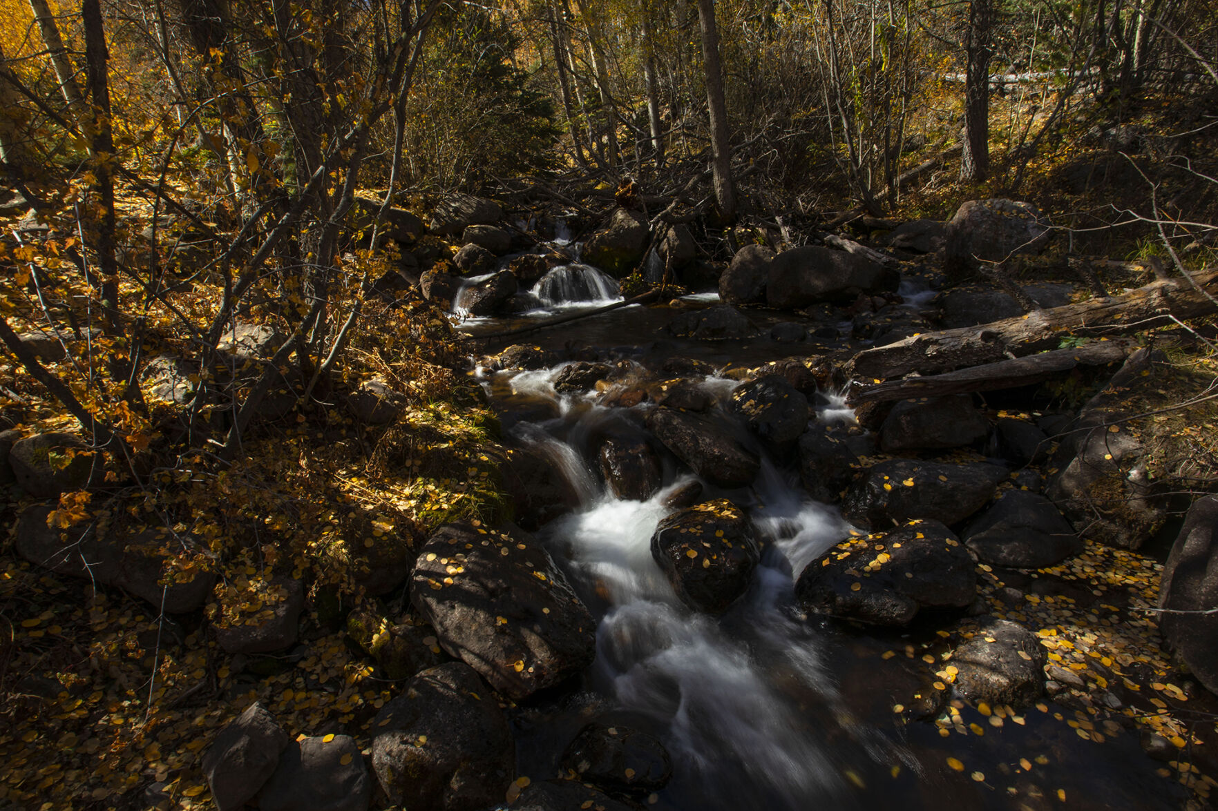 093020-news-colorsfall 07.jpg